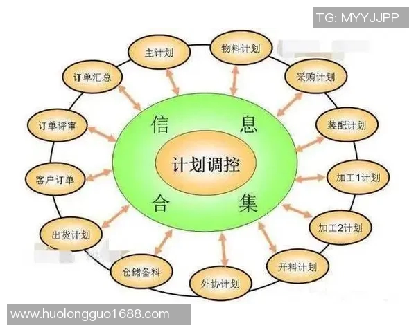 广州篮球队运营革新探索：从管理模式到球迷体验的全方位提升